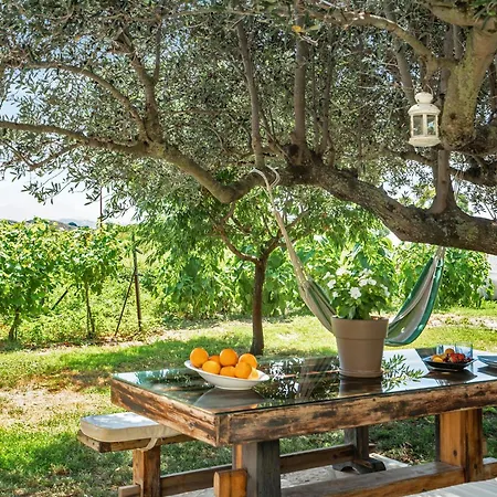 Ktima Dilberaki Holiday home *
