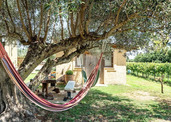 Ktima Dilberaki * リクスリオン